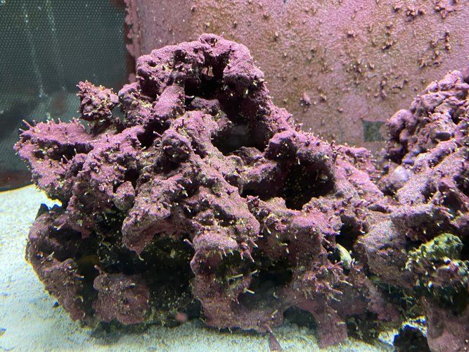 15218BF5-7C16-471F-8E17-93651F9B2EF5.jpeg
