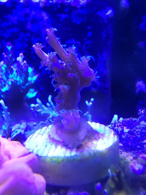 20220414_130453.jpg