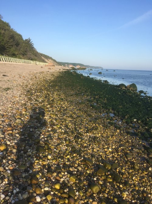 Rocky beach.JPG