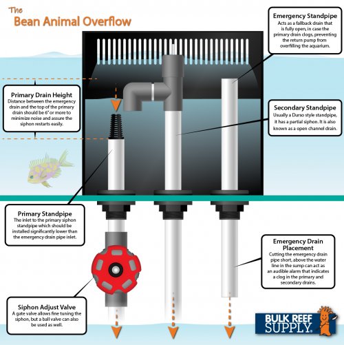 Types+of+Overflow+Drains-03.jpg