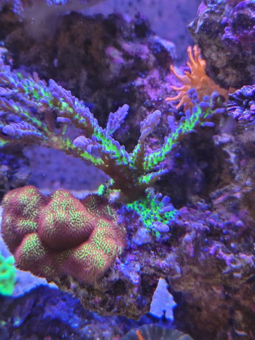 20220625_154847.jpg