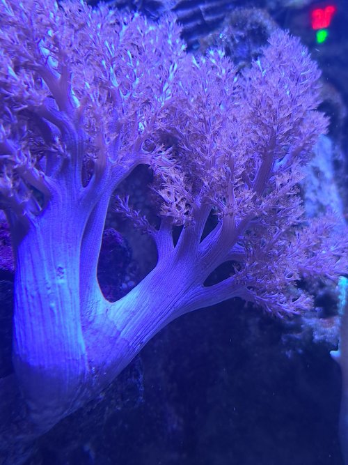 20220705_154929.jpg