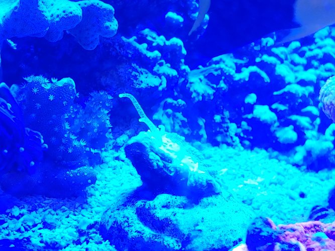 20220726_084317.jpg