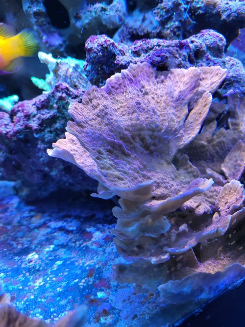 20220725_232211.jpg
