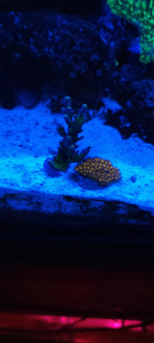 20220831_095023.jpg