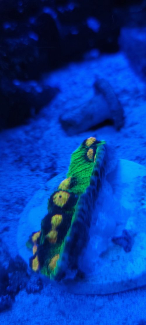 20220831_094940.jpg