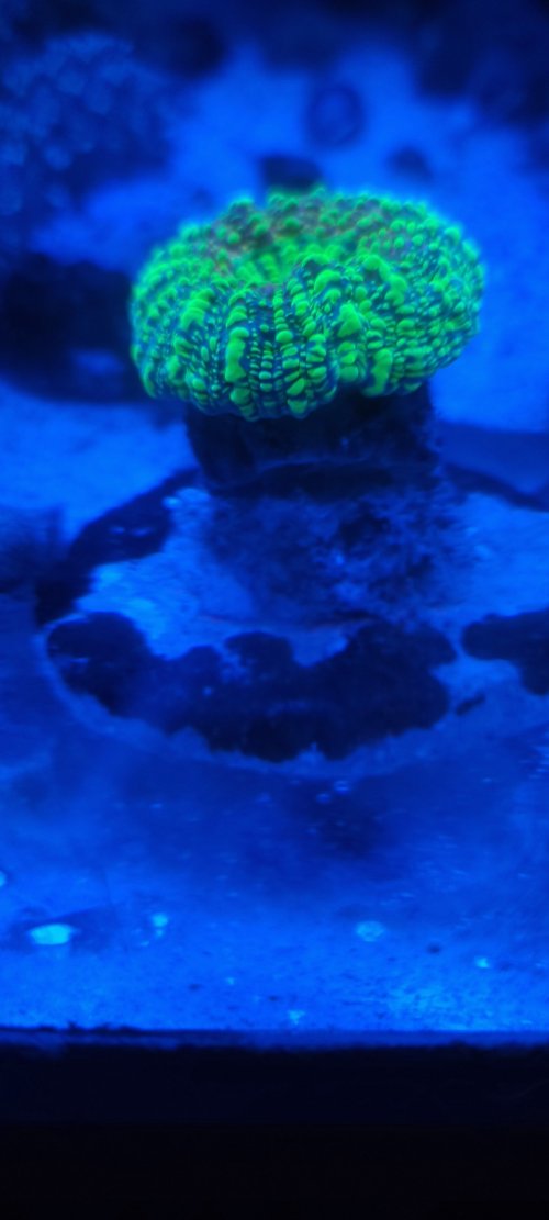 20220831_094913.jpg