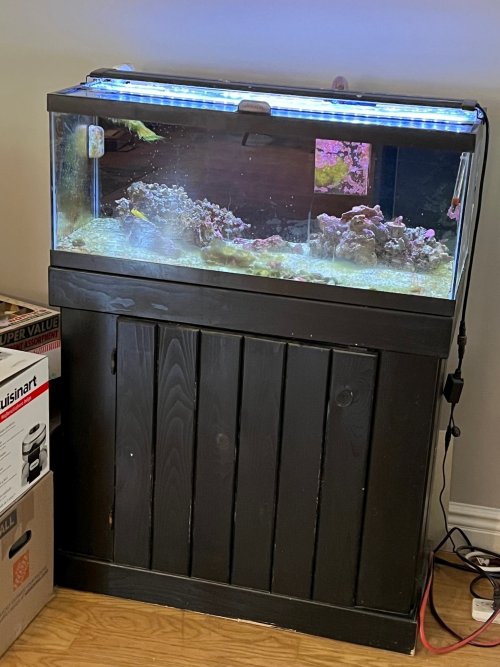 reef.jpg reef.jpg