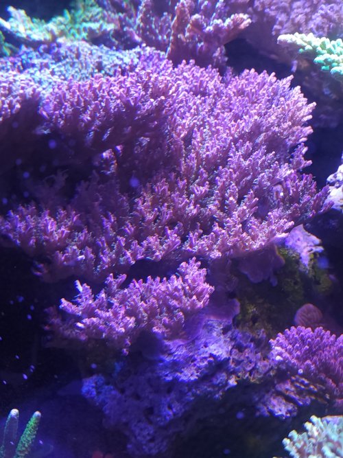 20221020_192744.jpg