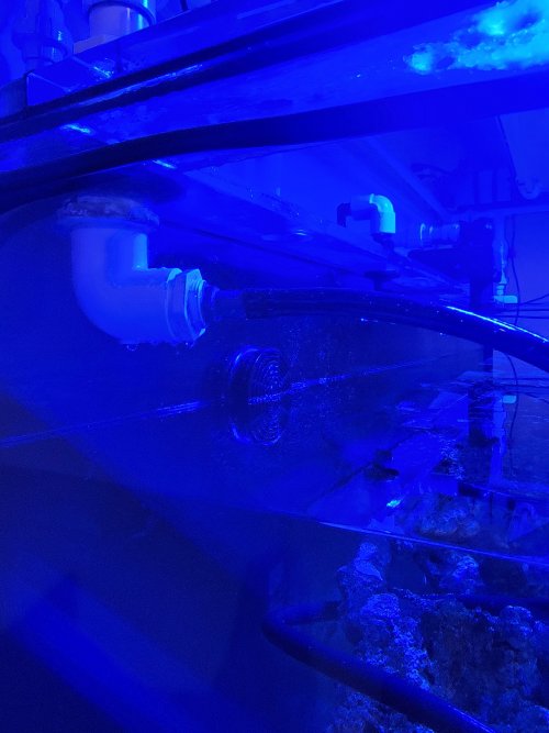 20221110_235127.jpg