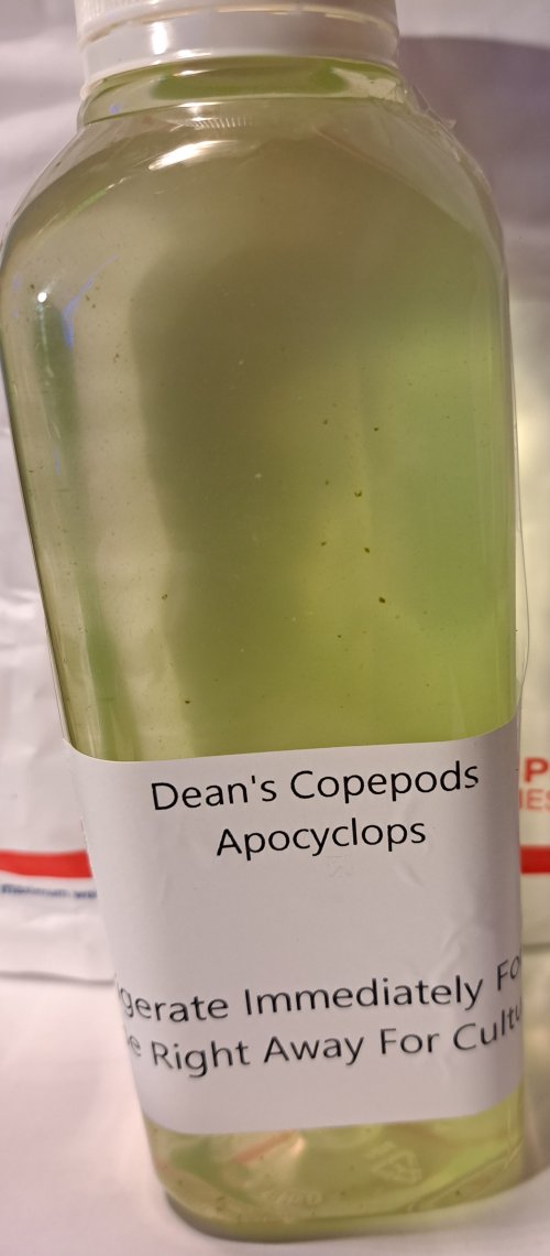 deans.jpg