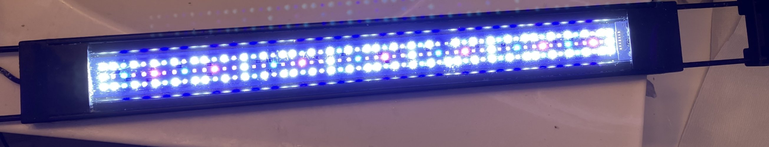 D6F62B98-5646-4620-9453-BB834AD40196.jpeg