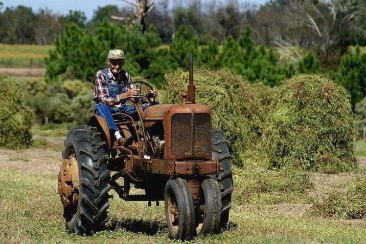 Farmer and duck.jpeg