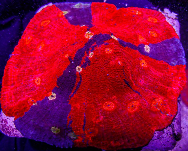 PB281032-258.JPG
