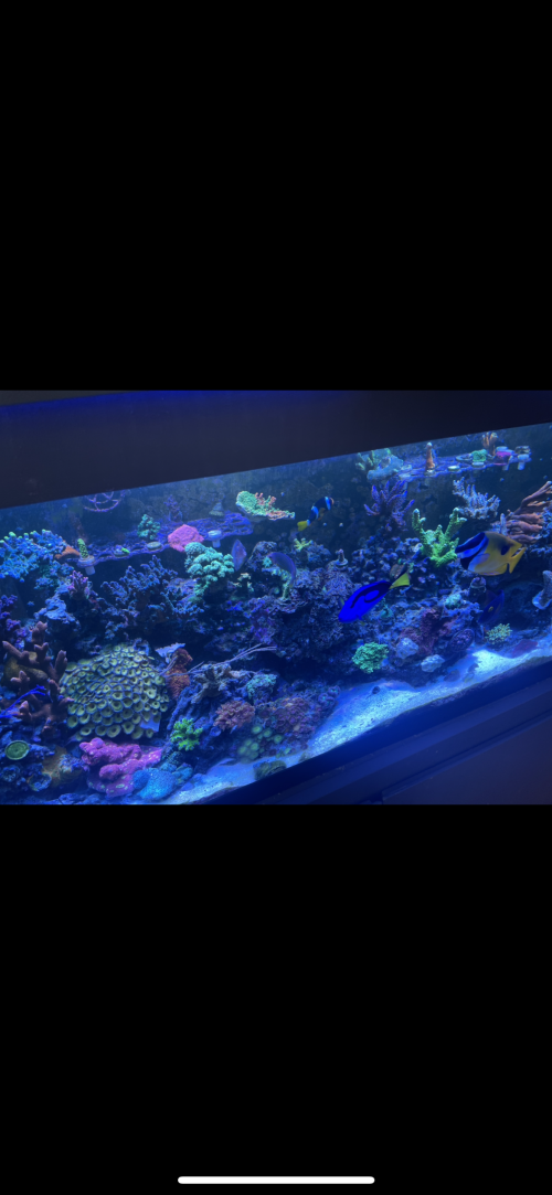 2CC0F0B7-C124-4921-80E5-D147EAF914AC.png