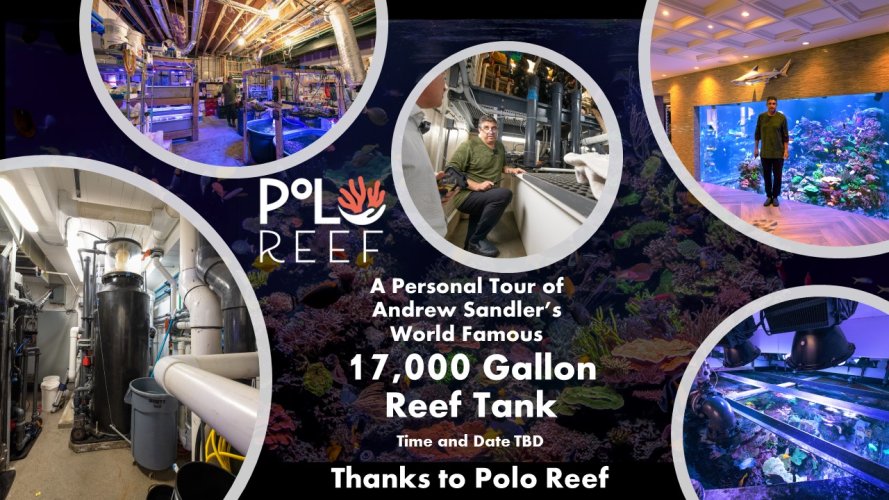 Polo Reef Tour Prize.jpg Polo Reef Tour Prize.jpg