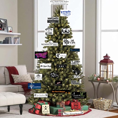 Reef Tree.jpg