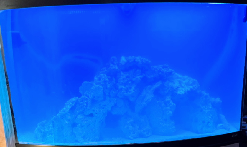 1678381639271.png 1678381639271.png