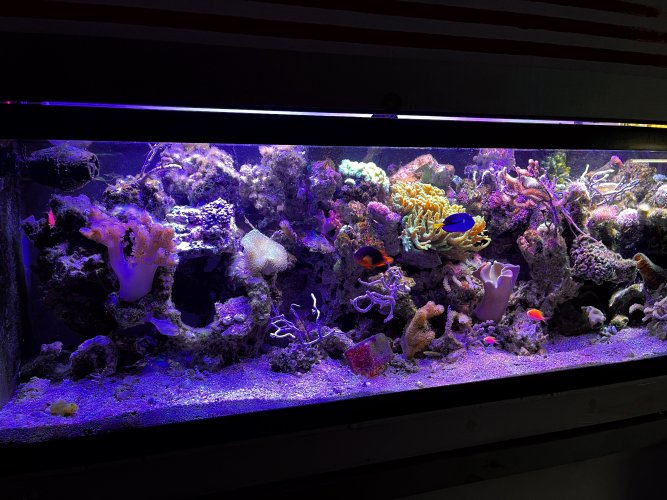 FTS April.JPG