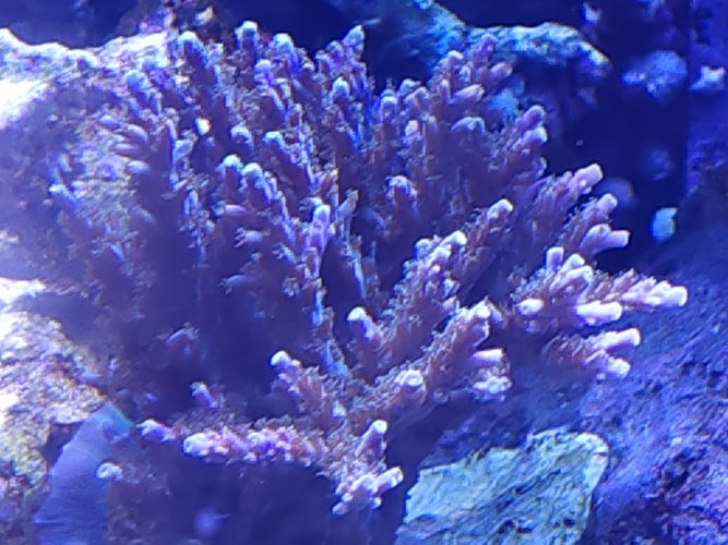 20230515_192318.jpg