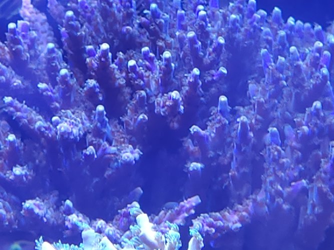 20230515_192250.jpg