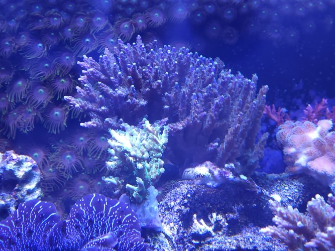 20230515_192240.jpg