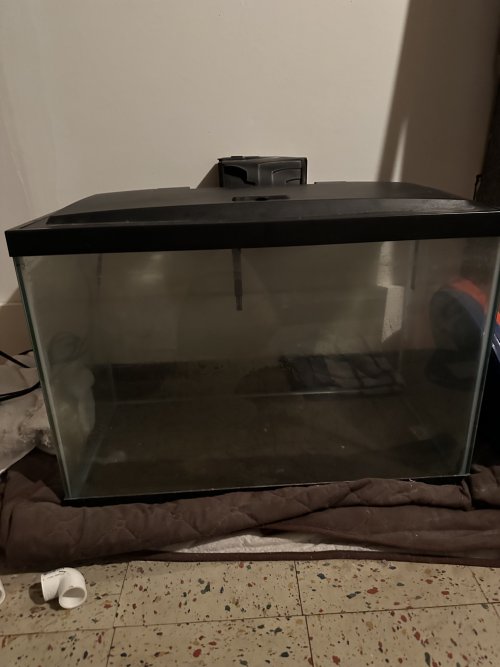 29 Gal 2.jpg