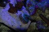 DSC_0673.jpg