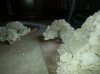 20131207_120841.jpg 20131207_120841.jpg