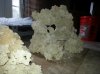20131207_120849.jpg 20131207_120849.jpg