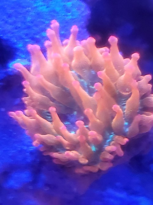 20240317_135108.jpg