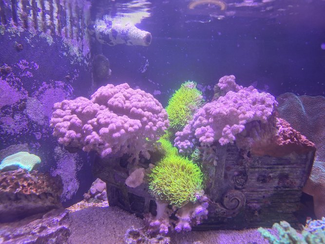 20240610_141324.jpg