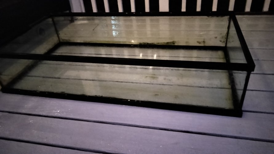 IMG20240619214510.jpg