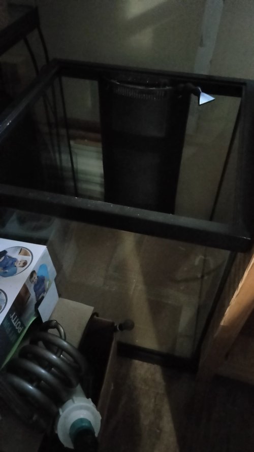IMG20240620201554.jpg