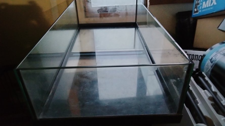 IMG20240620201548.jpg