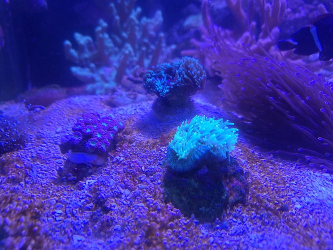 20240622_112811.jpg