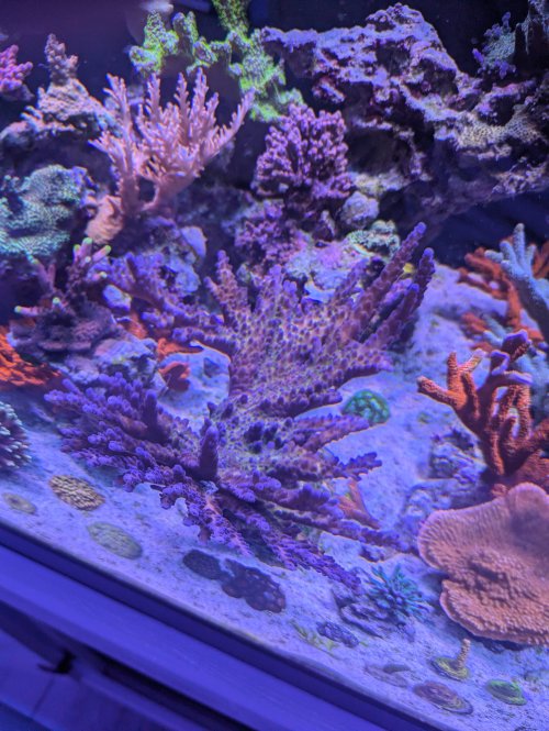 PXL_20240704_213430236.jpg