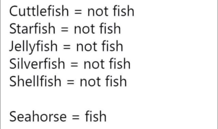 1732677621631.png