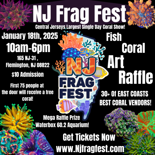 NJ Frag Fest.PNG NJ Frag Fest.PNG