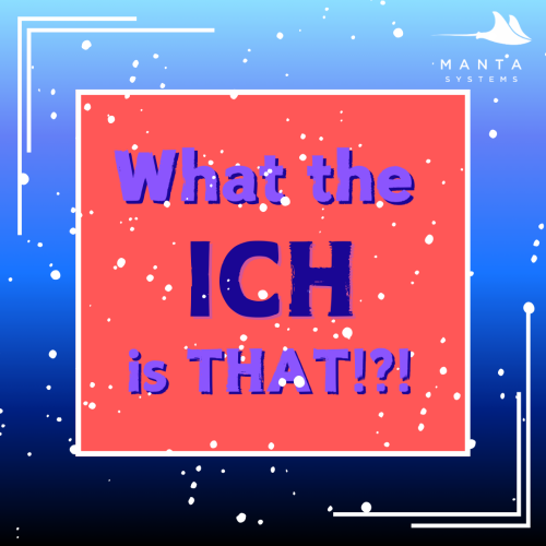 ICH.png