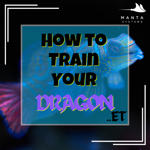 Dragonet.png
