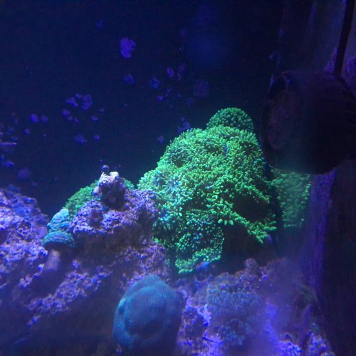 20250412_173803.jpg