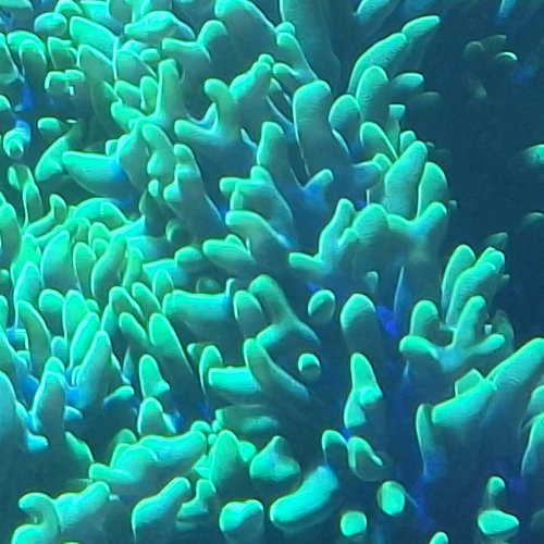 20250501_154941.jpg