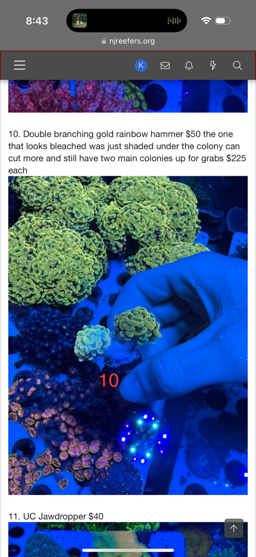IMG_1505.png
