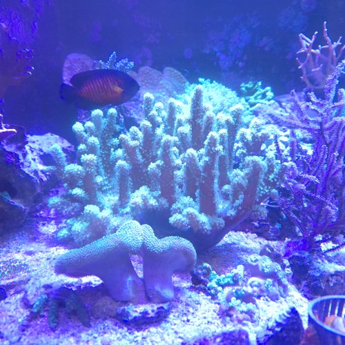 20250525_162356.jpg
