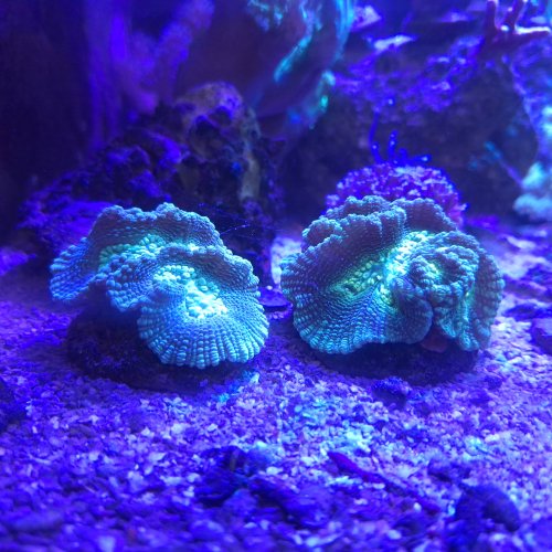 20250525_163151.jpg