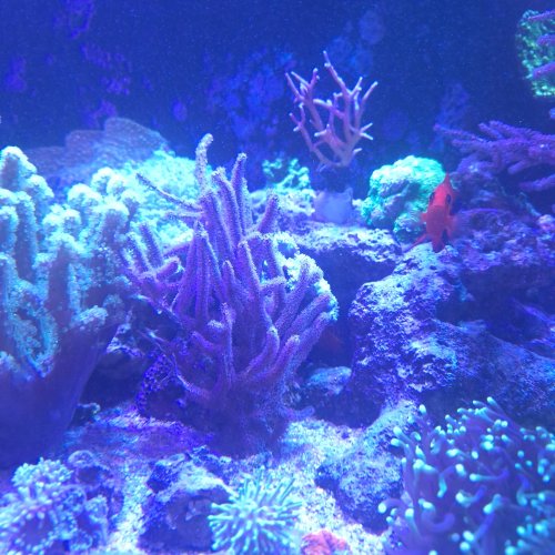 20250527_151429.jpg