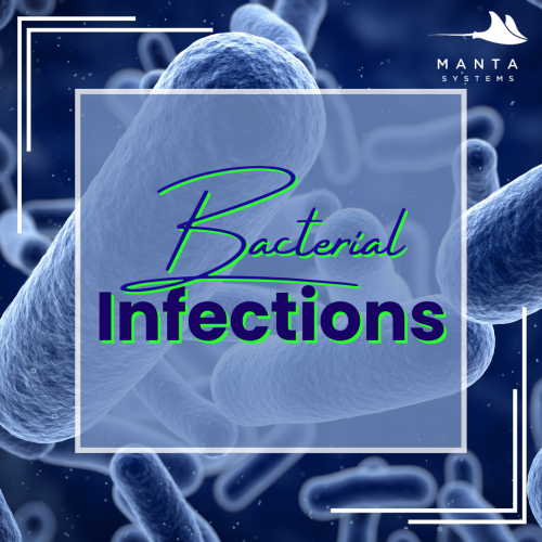 Bacterial Infection.png