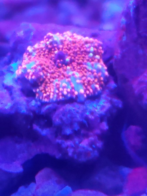 20250612_143741.jpg