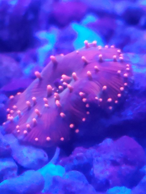 20250612_143756.jpg